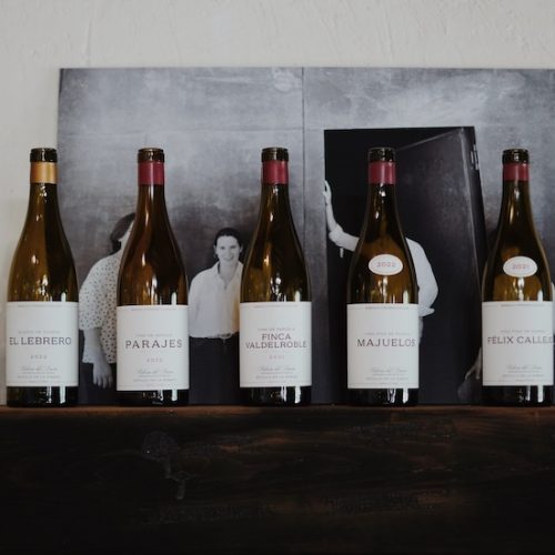 Visita a bodega y cata